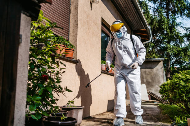 Best Affordable Pest Control Services  in Ladson, SC