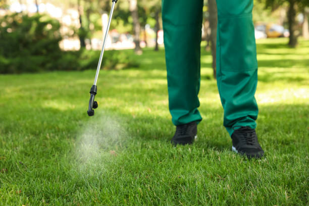 Insect Control in Ladson, SC