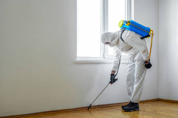 Best Flea Control Services  in Ladson, SC