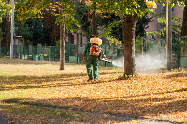 Professional Pest Control in Ladson, SC